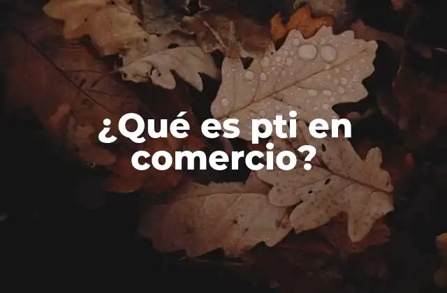 ¿qué es Pti en Comercio?