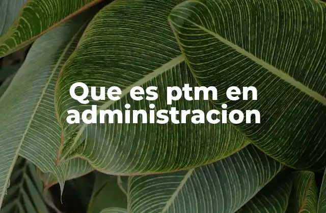Que es Ptm en Administracion
