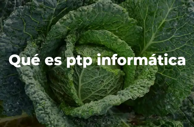 Qué es Ptp Informática