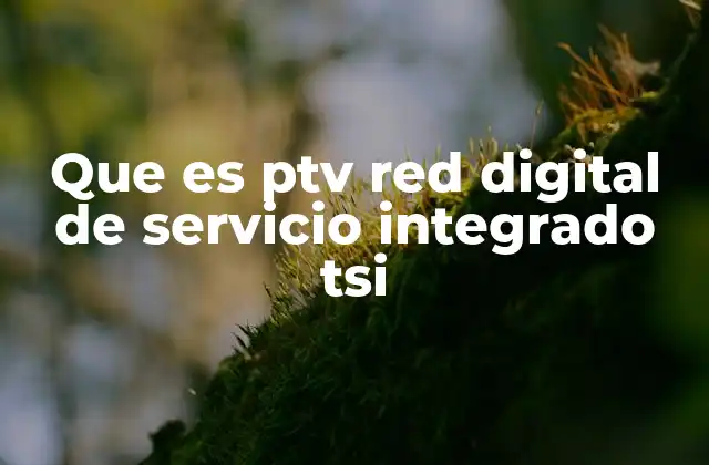 Que es Ptv Red Digital de Servicio Integrado Tsi