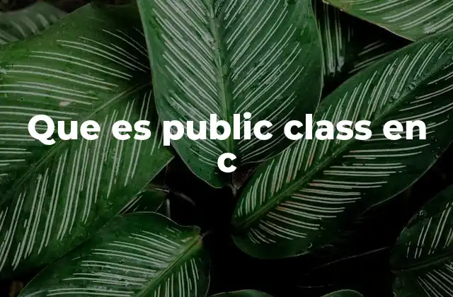 Que es Public Class en C 2 Cómo las clases públicas organizan el código en C