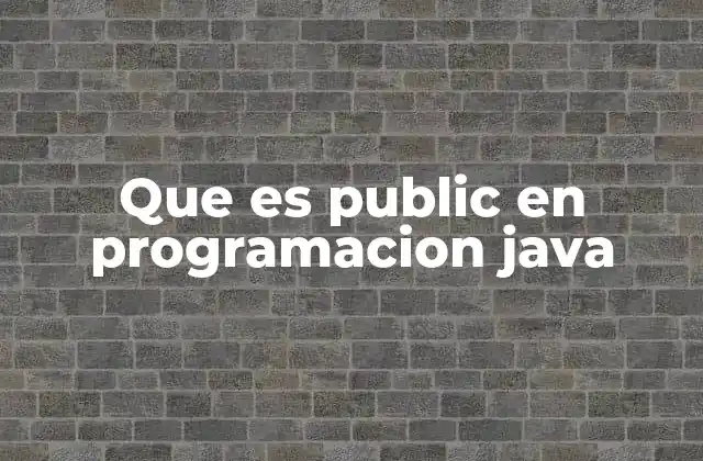 Que es Public en Programacion Java