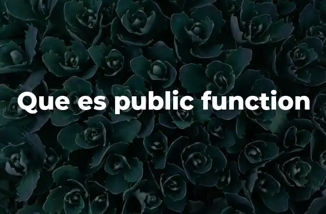 Que es Public Function