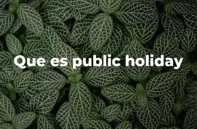 Que es Public Holiday