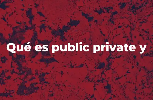 Qué es Public Private y