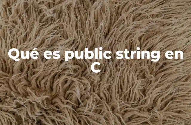 Qué es Public String en C