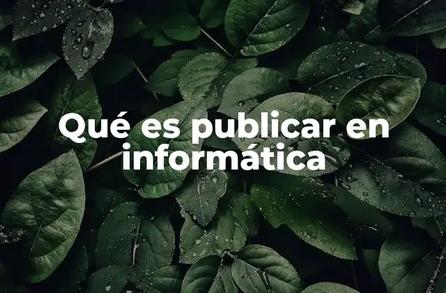 Qué es Publicar en Informática