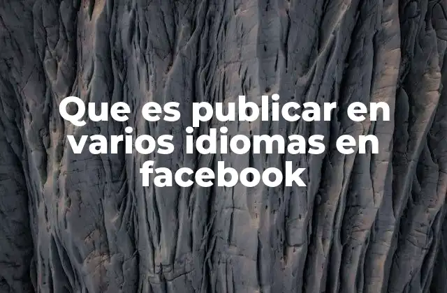 Que es Publicar en Varios Idiomas en Facebook