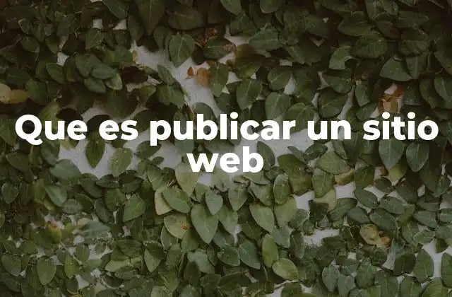 Que es Publicar un Sitio Web