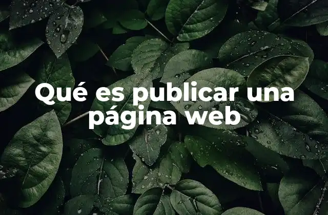 Qué es Publicar una Página Web