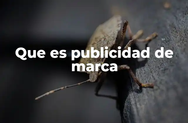 La importancia de construir una imagen coherente en el marketing