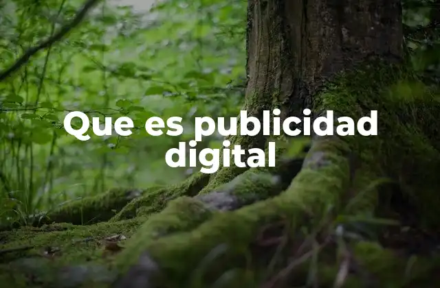 Que es Publicidad Digital