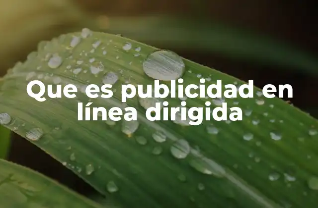 Que es Publicidad en Línea Dirigida
