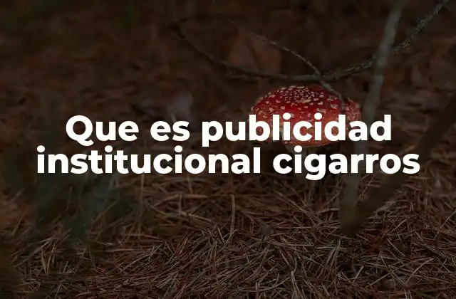 Que es Publicidad Institucional Cigarros
