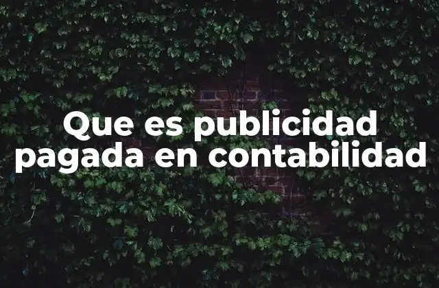 Que es Publicidad Pagada en Contabilidad