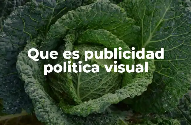 Que es Publicidad Politica Visual