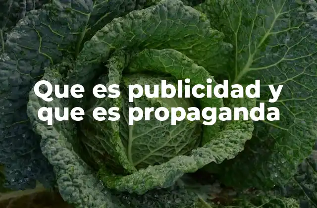 Que es Publicidad y que es Propaganda