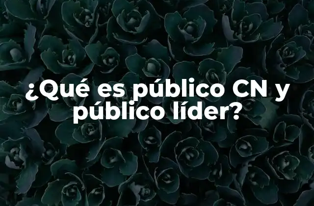 ¿qué es Público Cn y Público Líder?