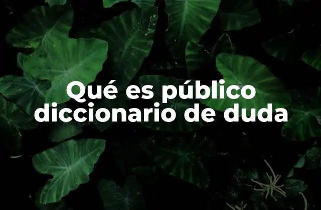 Qué es Público Diccionario de Duda