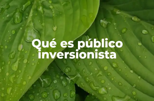 Qué es Público Inversionista