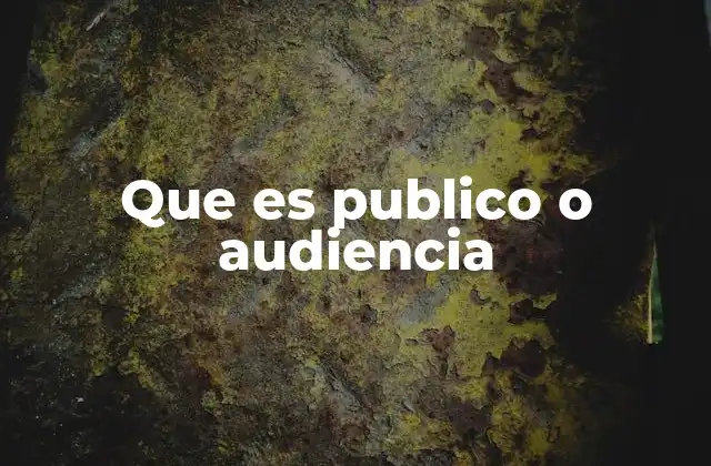 La importancia del público o audiencia en la comunicación efectiva