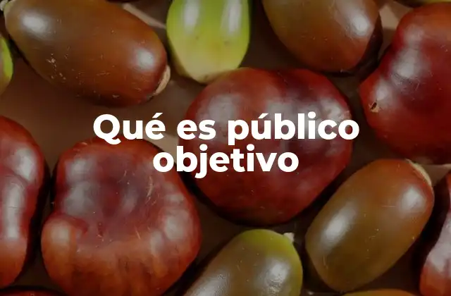 Qué es Público Objetivo