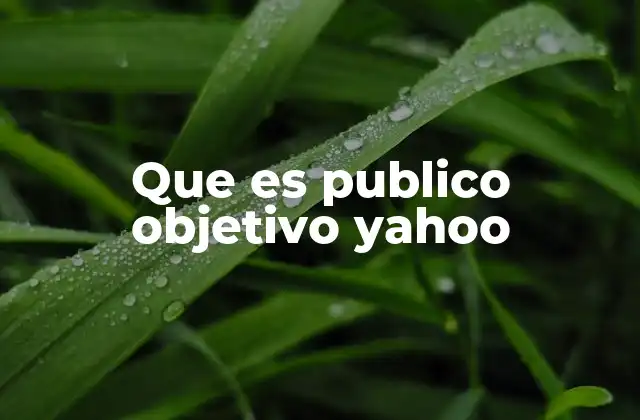 Que es Publico Objetivo Yahoo