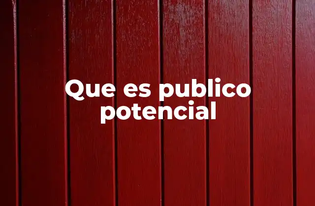 Que es Publico Potencial
