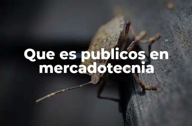 Que es Publicos en Mercadotecnia