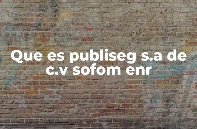 Que es Publiseg S.a de C.v Sofom Enr