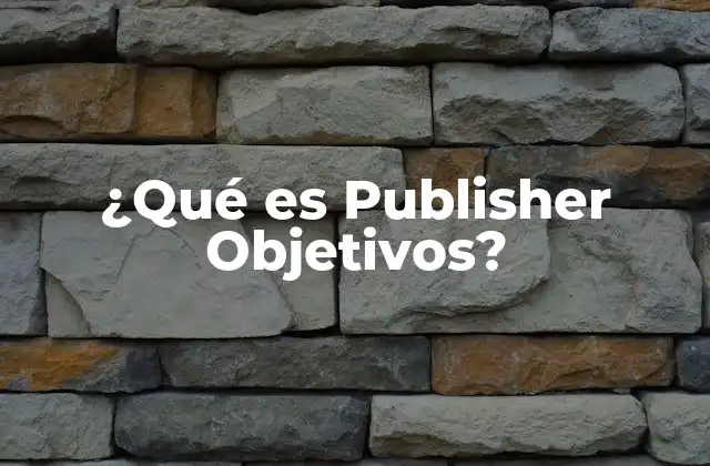 ¿qué es Publisher Objetivos?