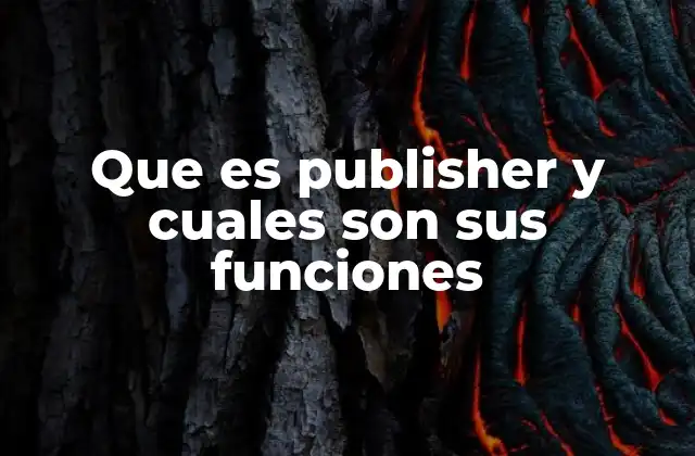 Que es Publisher y Cuales Son Sus Funciones