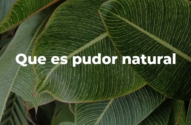 Que es Pudor Natural
