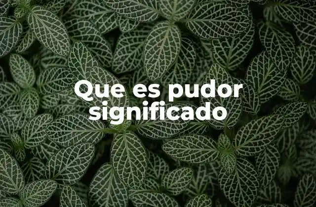 Que es Pudor Significado