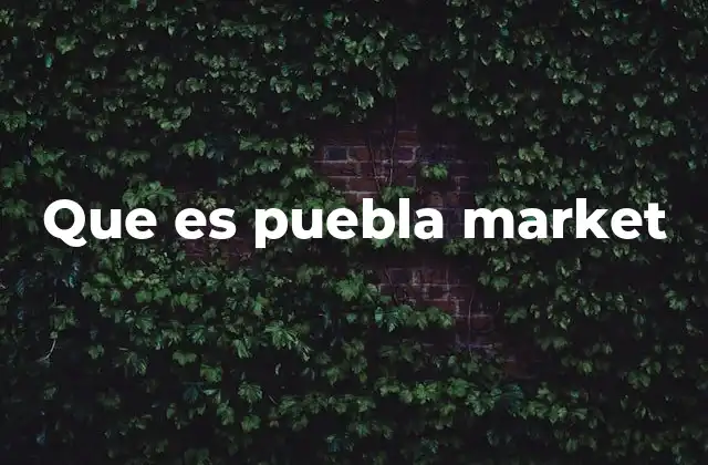 Que es Puebla Market