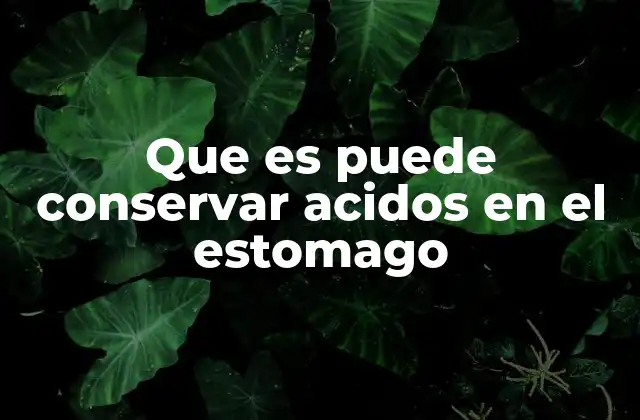 Que es Puede Conservar Acidos en el Estomago 2 El equilibrio ácido-estomacal y su importancia
