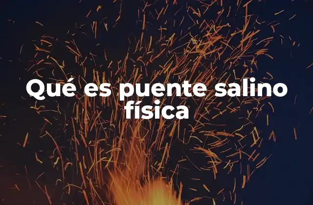Qué es Puente Salino Física