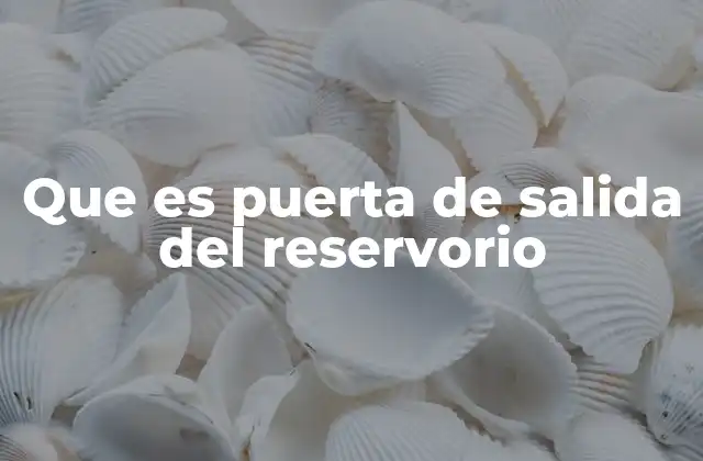 Que es Puerta de Salida Del Reservorio 2 Componentes y características de las puertas de salida