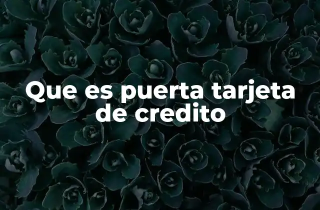 Que es Puerta Tarjeta de Credito