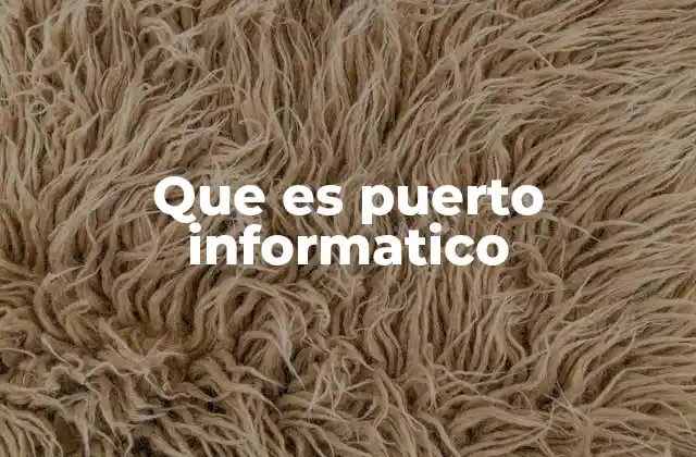 Que es Puerto Informatico