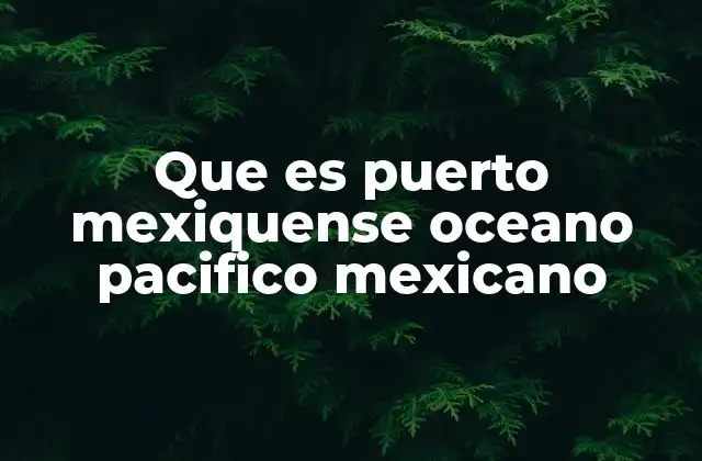 Que es Puerto Mexiquense Oceano Pacifico Mexicano