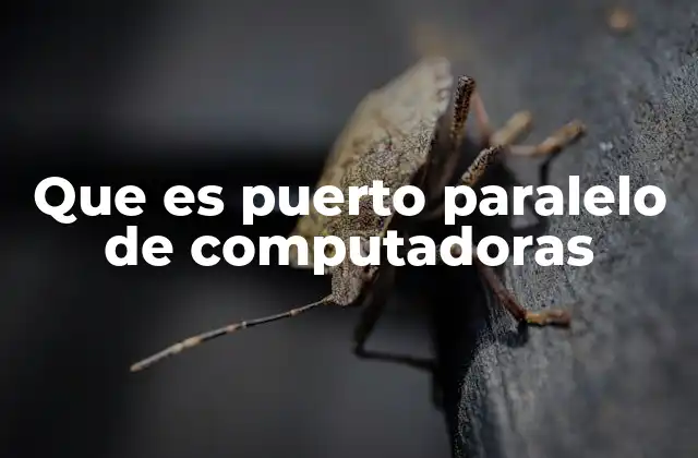 La evolución de las conexiones en la informática