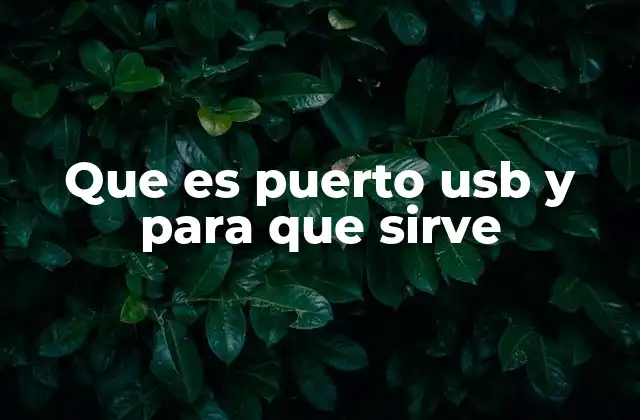Que es Puerto Usb y para que Sirve