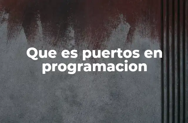 Que es Puertos en Programacion