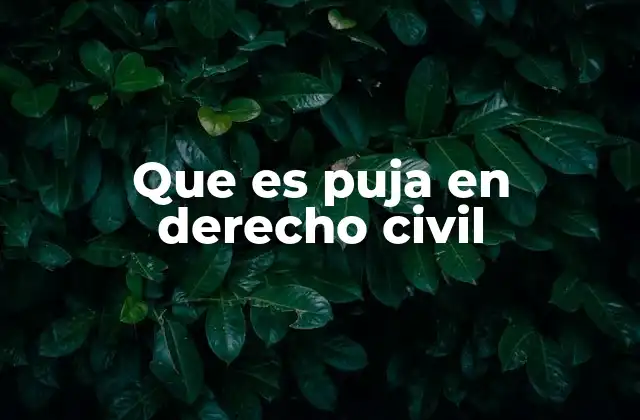 Que es Puja en Derecho Civil