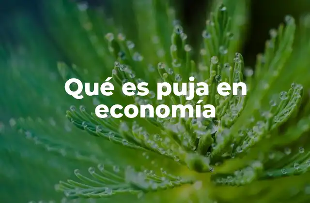 Qué es Puja en Economía