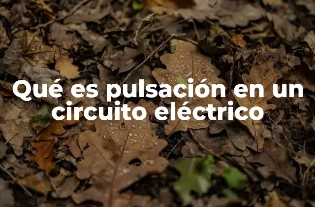 Qué es Pulsación en un Circuito Eléctrico