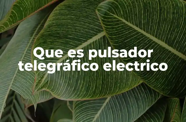 Que es Pulsador Telegráfico Electrico