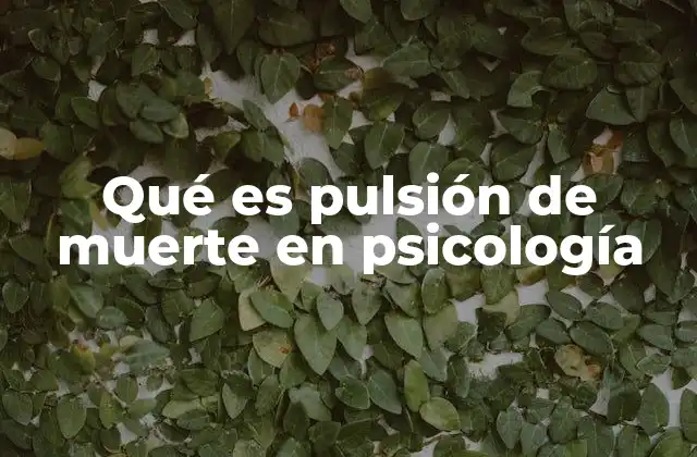 Qué es Pulsión de Muerte en Psicología