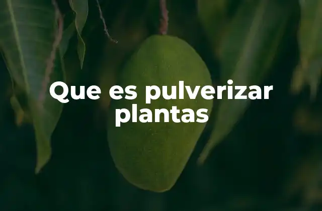 Que es Pulverizar Plantas